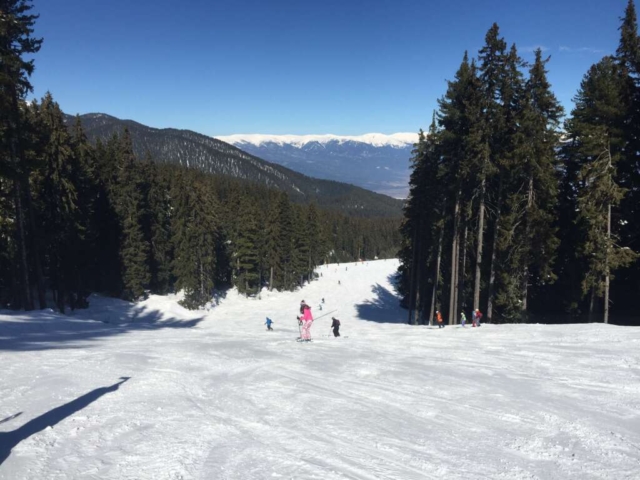 Bansko - Snowteam - 2019