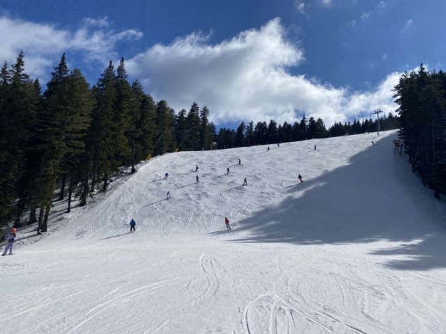 Bansko - Snowteam - 2024