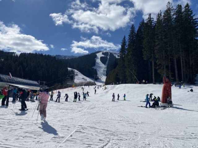 Bansko - Snowteam - 2024